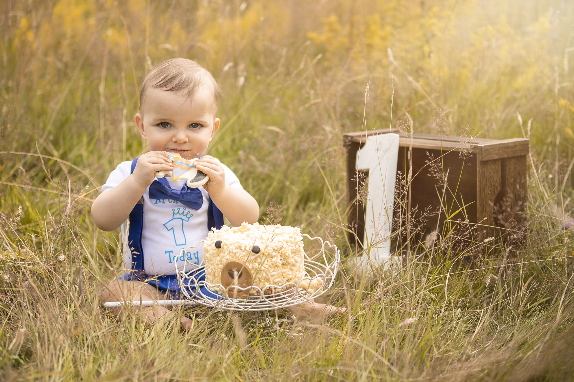 Cake Smash, Family and Baby Photography taken in the Photography studio in Whitchurch Hampshire