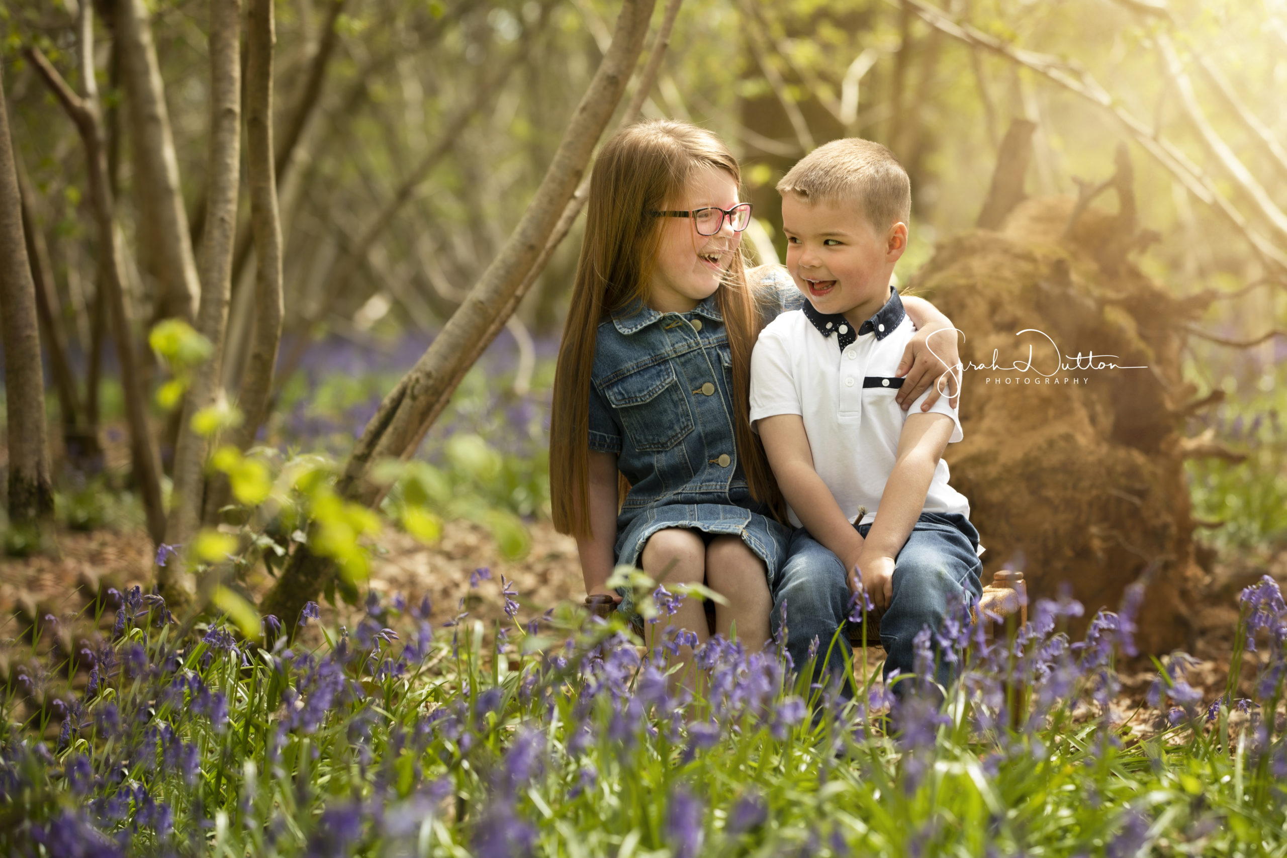 Family photoshoot taken in the Bluebell woods by a professional photographer in Basingstoke Hamsphire