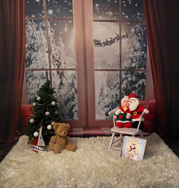 Christmas Photoshoot take by a photographer in Whitchurch Hampshire in her studio that enjoys recording Christmas photo sessions